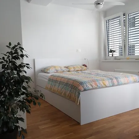 Apartma Rosmarino *