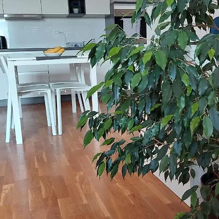 Apartment Apartma Rosmarino Koper